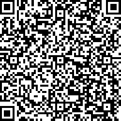 QR code articolo