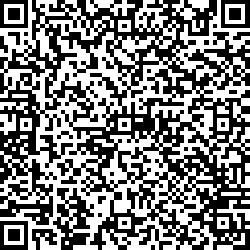 QR code articolo