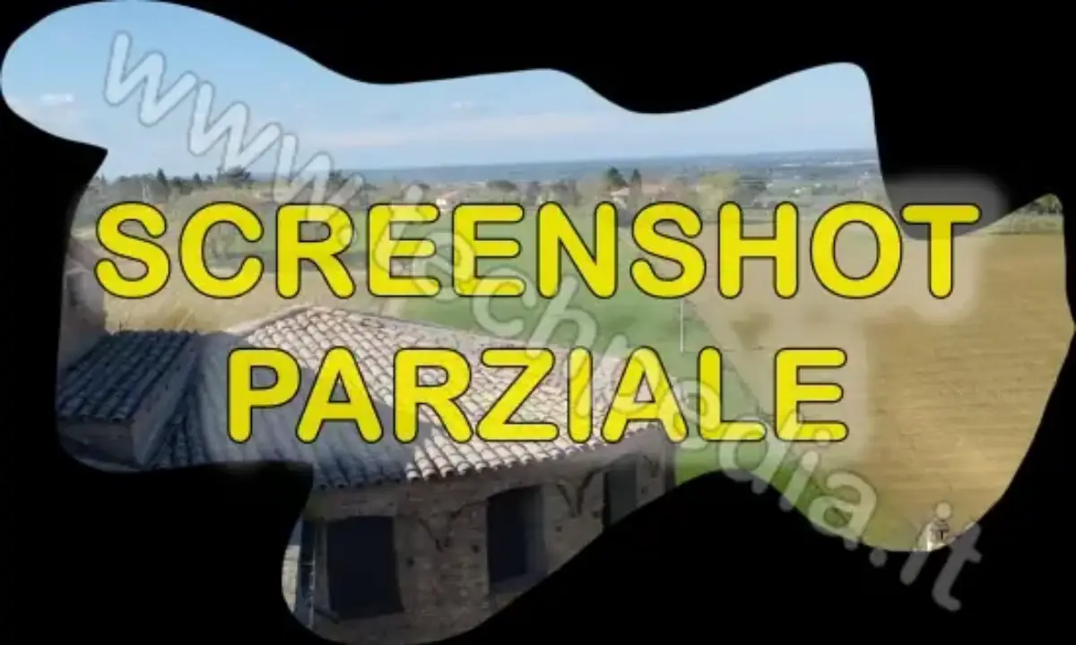 Come fare screenshot parziale con Android