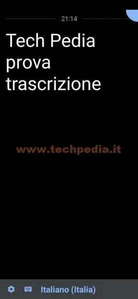 trascrizione automatica google 025