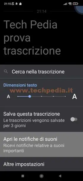 trascrizione automatica google 034