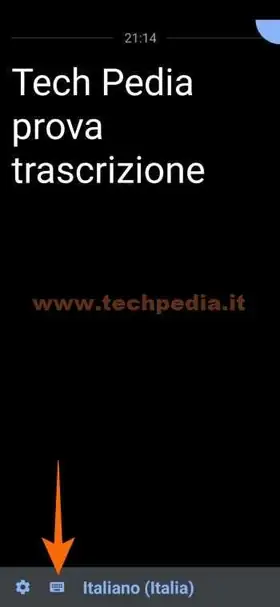 trascrizione automatica google 046