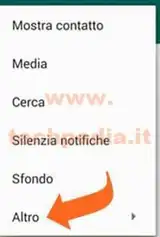 WHAT SAL 043