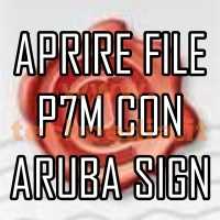 Aprire File P7m Aruba Logo