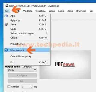 Amplificare l'audio con AVIDEMUX, schermata chiedi Informazioni Filmato