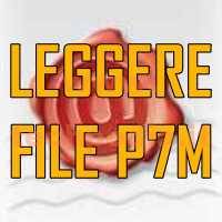 Aprire File P7m Logo