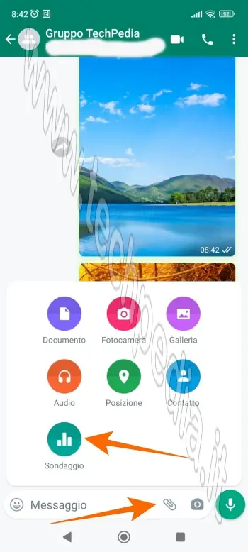 come creare sondaggi con whatsapp 013