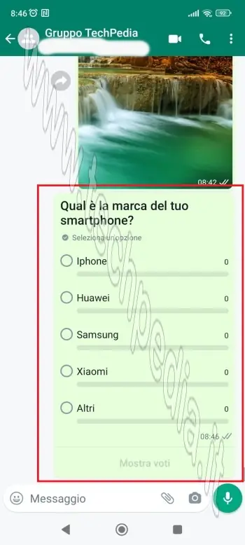 come creare sondaggi con whatsapp 019
