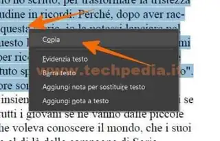 copiare testo da pdf 025