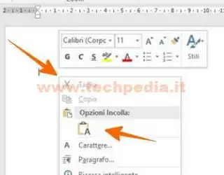 copiare testo da pdf 028