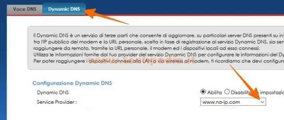 dynamic dns no ip 055