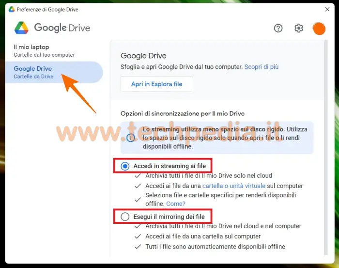 google drive differenza streaming mirroring 028