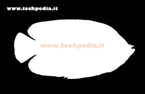 immagini 3d facebook 134