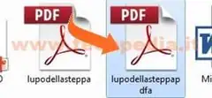 VRF PDFA 007