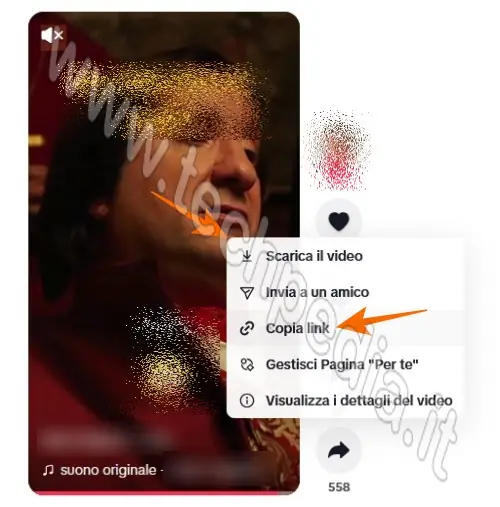 scarica video tiktok senza logo 040