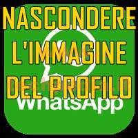 Whatsapp Nascondere Dati Personali LOGO IMM