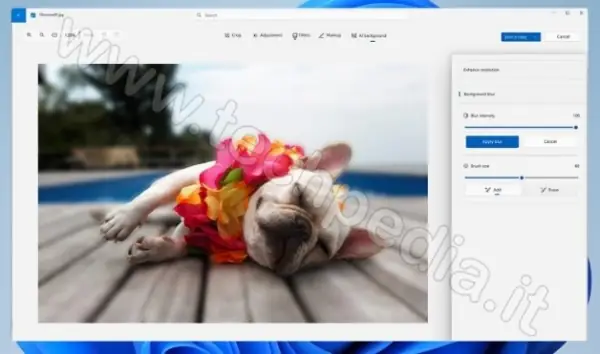 aggiornamento windows 11 23h2 040
