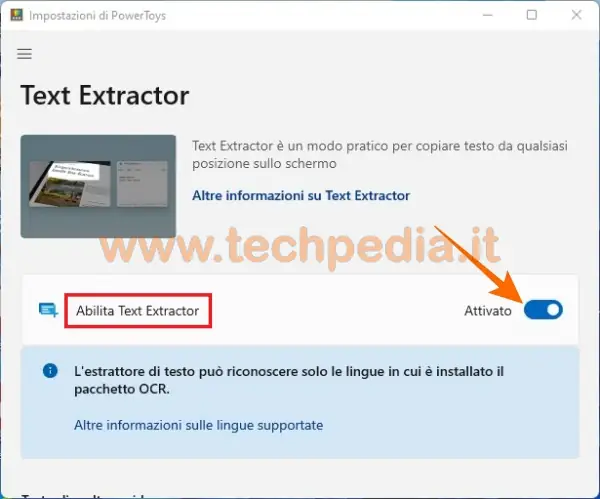 estrarre testo text extractor windows 11 019