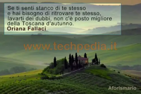 estrarre testo text extractor windows 11 043