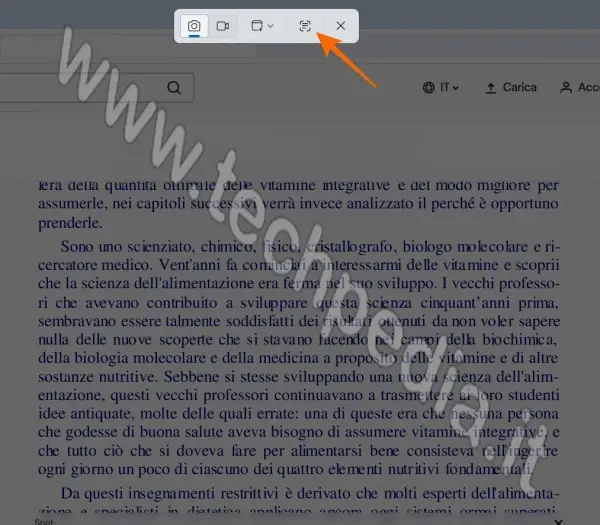 pulsante estrattore testo windows 11 022