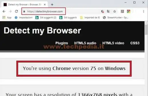 abilitare tls 1 3 browser 007