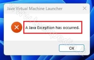 errore java vm installazione desktop telematico windows 040