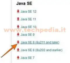 slpct errore java runtime 32 bit 013