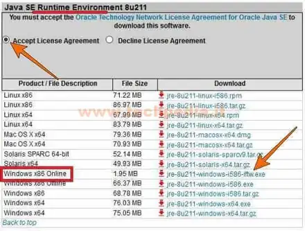 slpct errore java runtime 32 bit 016